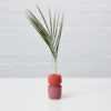 LIO Single Stem Vase