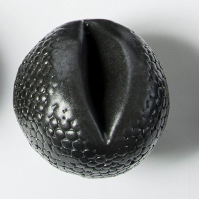 The black Punica pollen grain