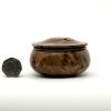 Elm burl lidded box 7